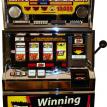 2003 Winning For Dummies